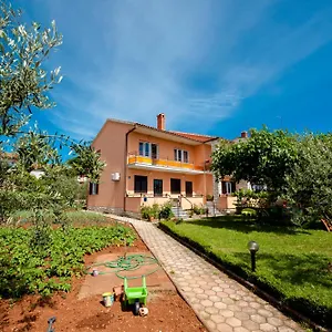 https://apartmani-koara.in-istria.net